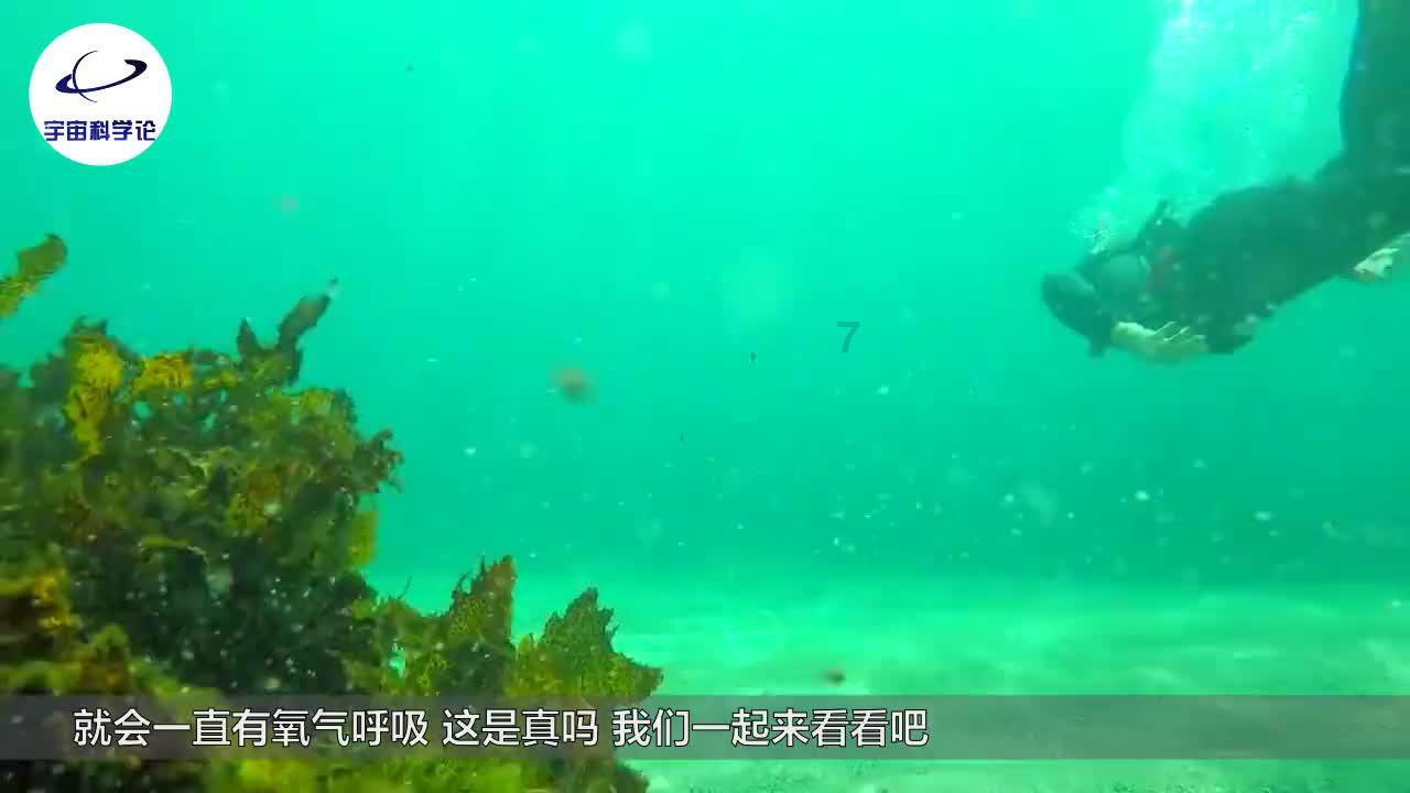 泰坦陨落2